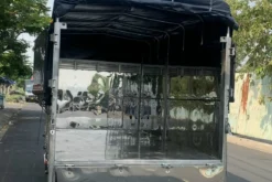 Isuzu QKR 230 thùng mui bạt